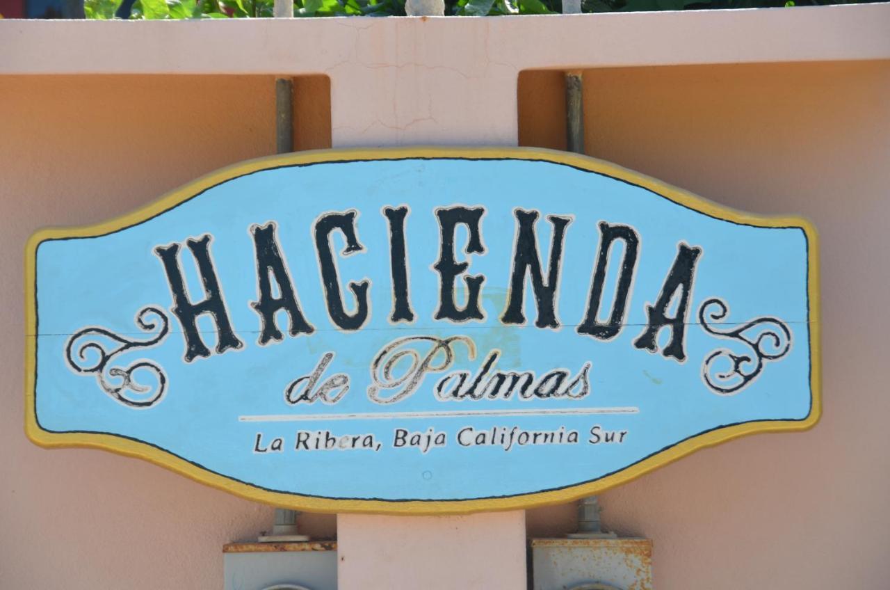 Hacienda De Palmas Bed & Breakfast La Ribera Luaran gambar