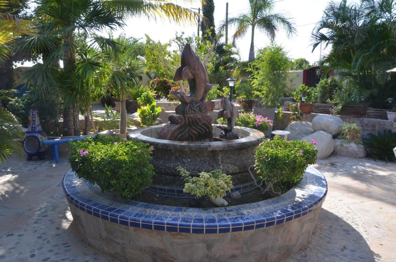 Hacienda De Palmas Bed & Breakfast La Ribera Luaran gambar