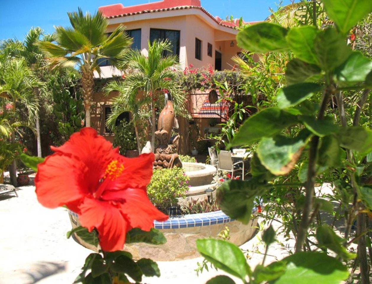 Hacienda De Palmas Bed & Breakfast La Ribera Luaran gambar